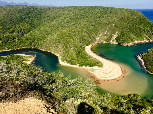 Mermaids cove