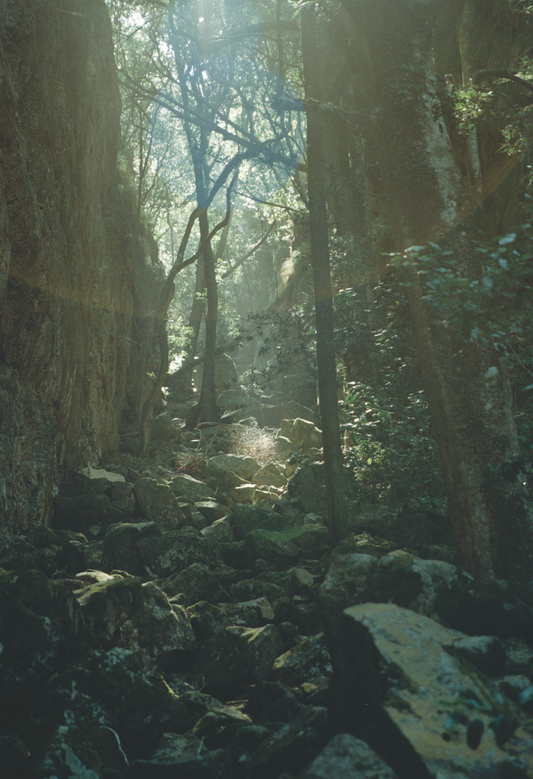 Disa Ravine in South Africa