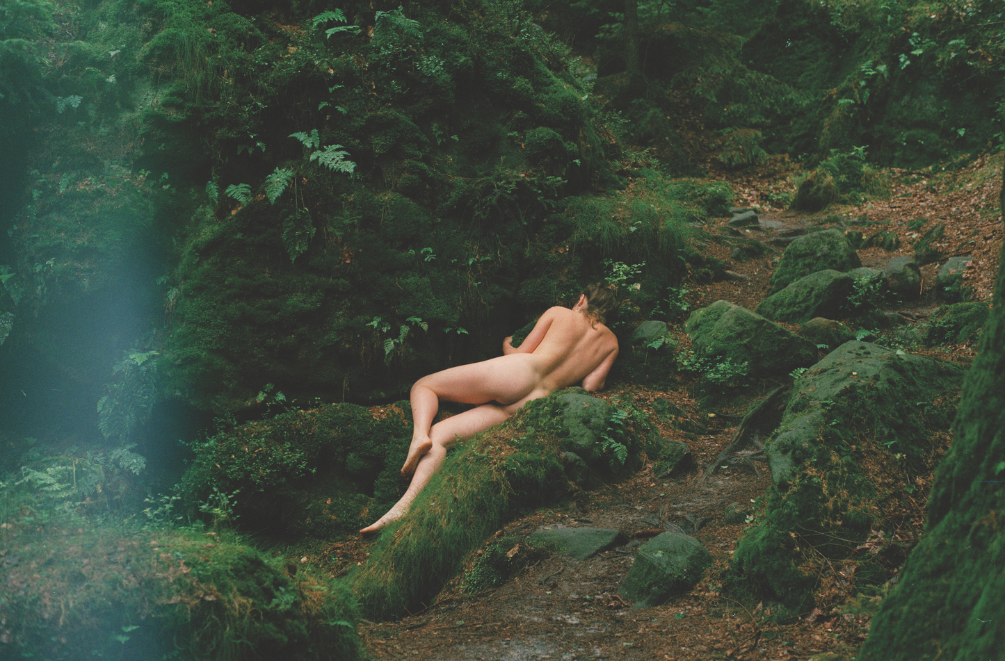 Moss immersion